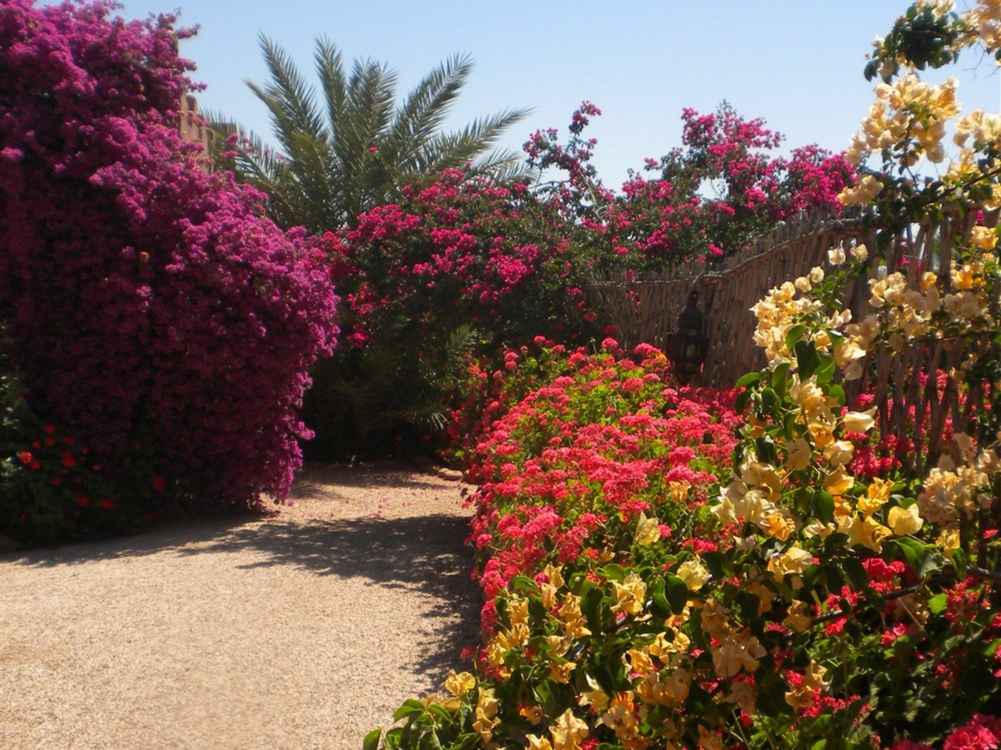 Riad Souiguia Hotell Ouled Jelal Eksteriør bilde